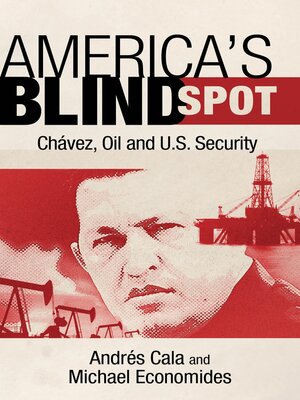 cover image of America's Blind Spot
